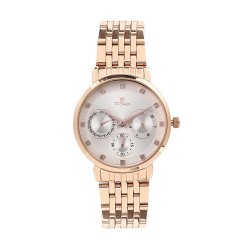 Titan Workwear 2569WM02 Beige Dial Stainless Steel Strap Quartz Women's Watch