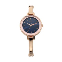 Titan Quartz 2575WM02 Blue Dial Metal Strap Quartz Women's Watch