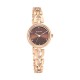 Titan Lagan 2601WM04 Brown Dial Metal Strap Quartz Women's Watch