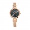 Titan Raga 2608WM02 Viva Anthracite Dial Metal Strap Quartz Women's Watch