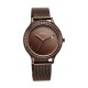 Titan Purple 2634QM01 Brown Dial Analog with Date Metal Strap Quartz Women's Watch