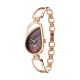 Titan Raga Chic 2688WM01 Brown Dial Metal Strap Quartz Women's Watch