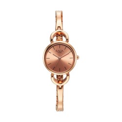 Titan Raga 2724WM01 Rose Gold Dial Metal Strap Quartz Women's Watch