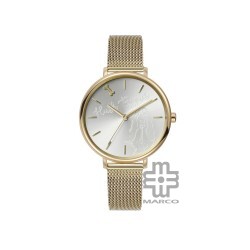 Hush Puppies Orbz HP.3876L.9507 Gold Mesh Stainless Steel Band Women Watch